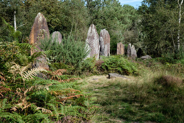 The menhirs of Monteneuf (Brocéliande archaeosite), Morbihan, Brittany, France.