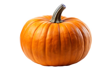 Pumpkin  isolated on white background PNG