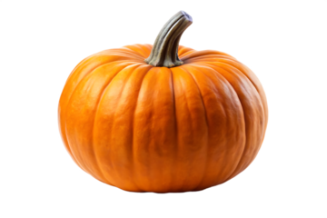 Pumpkin  isolated on white background PNG