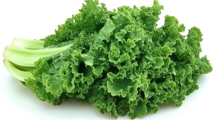 Fototapeta premium Vibrant green kale, closeup of fresh leaves on clean white backdrop fresh