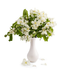 white apple tree flowers in a vase isolated png