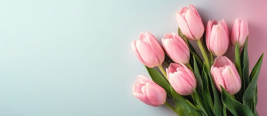 Naklejka premium A bouquet of pink tulips against a soft blue-pink gradient backdrop with green leaves. Perfect for spring weddings, floral shops’ marketing, or wellness content. 