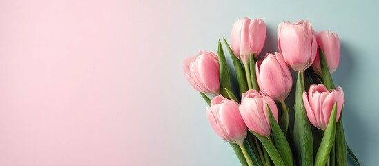 Naklejka premium A bouquet of pink tulips against a soft blue-pink gradient backdrop with green leaves. Perfect for spring weddings, floral shops’ marketing, or wellness content. 