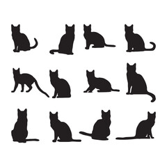 Fototapeta premium Black silhouettes, wading birds, herons and cranes