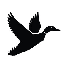 Obraz premium Duck Silhouette Vector silhouette