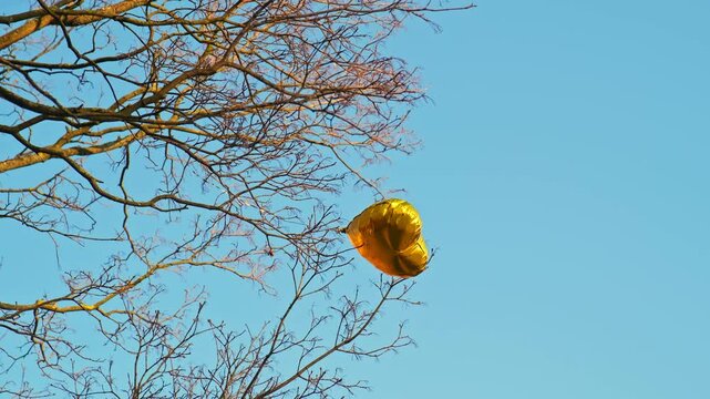 Golden Heart Shaped Party Balloon Filled with Helium Caught in Tree Branches