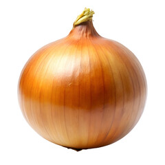onion isolated on white background