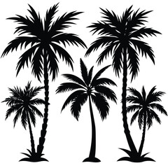 Fototapeta premium Set of Palm Tree Silhouettes Isolated on White