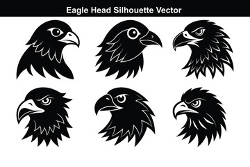 A vector set features funny cartoon bird illustrations and black and white bird silhouettes, showcasing wild animal icons with feather and wing design.
