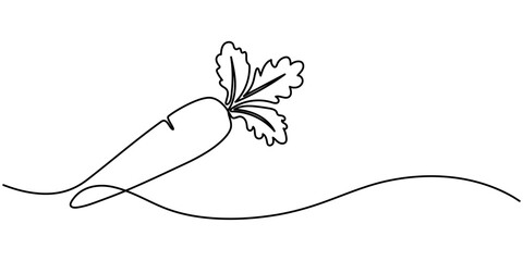 Carrot in one continuous line drawing of vector illustration, icon isolated on white background, Carrot in one continuous line drawing of vector illustration, Simple carrot in continuous one line art.