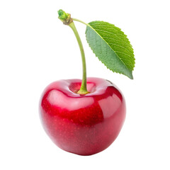 Fresh cherry isolated on white background PNG