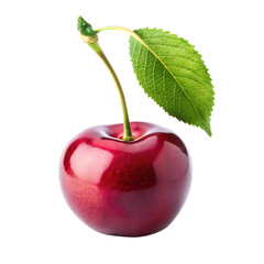 Fresh cherry isolated on white background PNG