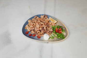A plate of food with a blue plate and a white plate. The white plate has a dish of food with a green salad