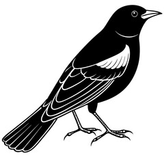 Minimal Red-Winged Blackbird Vector Illustration on White Background