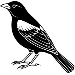 Minimal Red-Winged Blackbird Vector Illustration on White Background