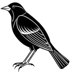 Minimal Red-Winged Blackbird Vector Illustration on White Background