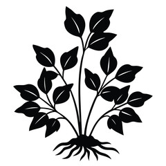 Seamless black and white floral pattern with vintage leaf and flower vector elements