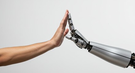 Human Hand Touching Robot Hand on White Background