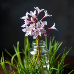 Delicate campanula blossoms in a glass vase, accented by vibrant green grass, simple, fresh, macro