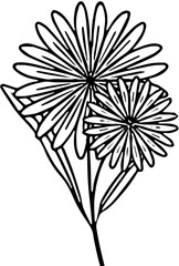 Flower Illustration