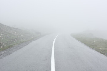 Cow in thick fog near a mountain asphalt road. Thick fog on a mountain road.