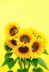 Obraz premium Vibrant sunflowers clustered against a sunny yellow backdrop, seeds, petals, summer