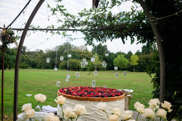 Fresh berry outdoor dessert display
