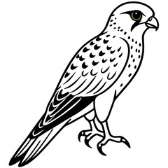 Minimal American Kestrel Vector Illustration on White Background