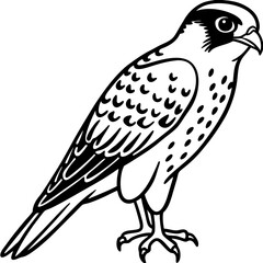 Minimal American Kestrel Vector Illustration on White Background
