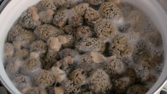 Morel mushrooms are boiled and simmered in a saucepan. Close-up.