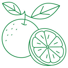 Orange Fruit Line Art Vector for Kids Hand Drawing and Learning Simple Tropical Fruit Outline Illustration (6).eps