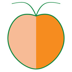 Peach Fruit Line Art Vector for Kids Hand Drawing and Learning – Simple Tropical Fruit Outline Illustration