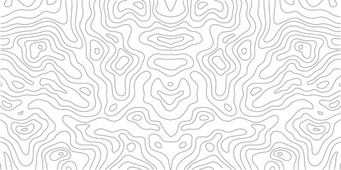 Topographic contour map. similarcartography illustration. Topography and geography map grid abstract backdrop. Business concept. Fish Fillet Texture, Salmon fillet texture, fish pattern. paper texture