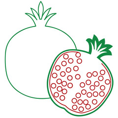 Pomegranate Fruit Line Art Vector for Kids Hand Drawing and Learning Tropical Fruit Illustration