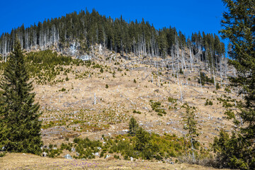 Kamienne szczyty gór na tle niebieskiego nieba © arekzet62