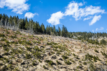 Kamienne szczyty gór na tle niebieskiego nieba © arekzet62