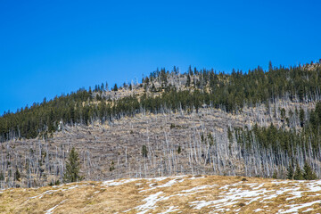 Kamienne szczyty gór na tle niebieskiego nieba © arekzet62