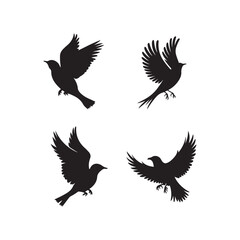 Obraz premium Four Silhouettes of Birds in Flight.This image features four black silhouettes of birds in various flight positions against a pure white background.