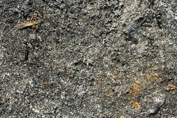 Gray ash texture as background, top view. Cinder, grey ashes from the wood.