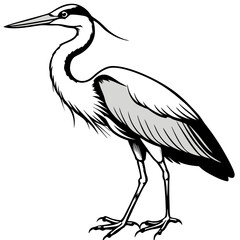 Minimal Great Blue Heron Vector Illustration on White Background