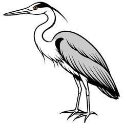 Minimal Great Blue Heron Vector Illustration on White Background