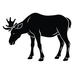 Obraz premium Crowned by Silence: The Shadow of the Moose