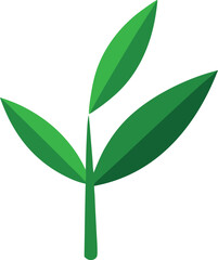 green leaf isolated on white