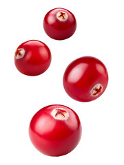 Cranberry