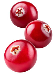 Obraz premium Cranberry