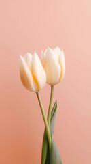 background Concept, AI	