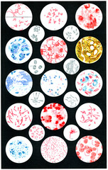 Vintage scientific illustration of various pathogenic bacteria. Publication of the "Meyers encyclopedia", Vol. 7, Leipzig, Germany, 1910.