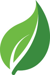 green leaf vector illustration