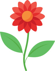 red flower isolated on white