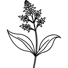 Minimal Goldenrod Flower Vector Illustration on White Background